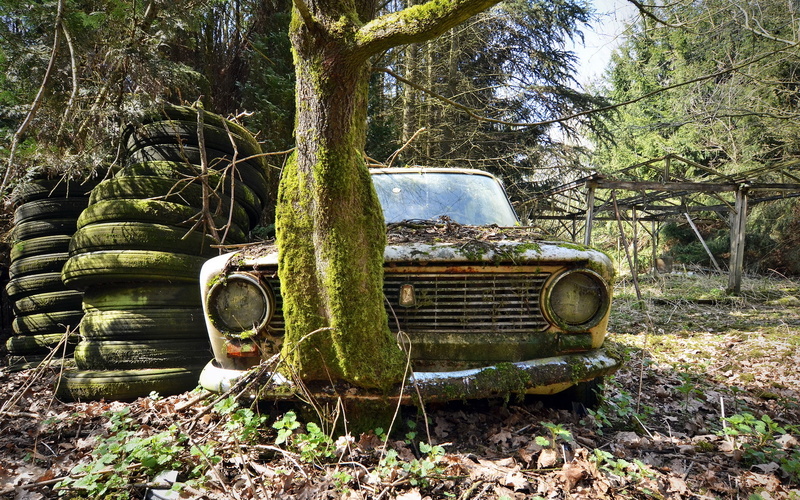deterioration, machine, motor vehicle, tree trunk, decline, plant, nature, scrap, woodland, land vehicle, land, damaged, transportation, wheel, VAZ 2101