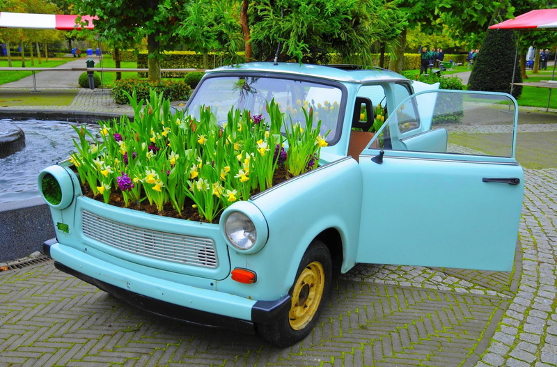 plant, urban Scene, mode of Transport, car, engine, flower, stationary, growth, vintage car, no people, 1080P, grass, day, luxury, daffodils, summer, teal