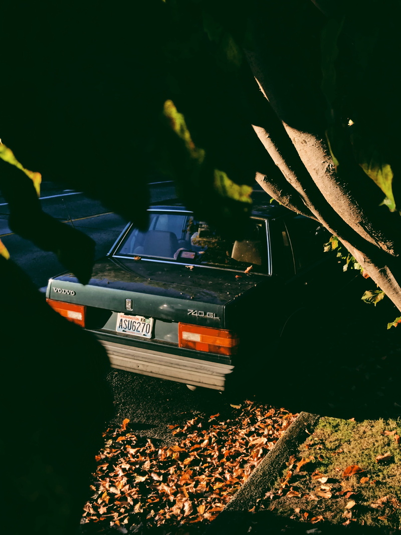 grass, automobile, 4K, land vehicle, port, plant, plant part, near, nature, train, tofas, leaves, road, parked, leaf, flora, track, electronics, vehicle