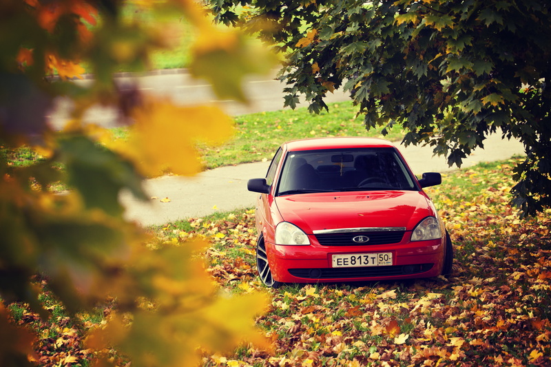 change, wheel, sports Car, beauty in nature, mode of Transport, nature, plant part, low Profile Tires, non-Urban Scene, tree, dirt Road, mini Cooper, 5K