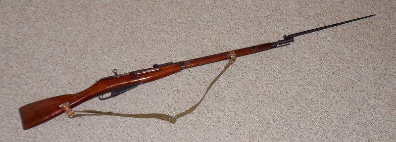 mosin nagant m9130 rifle, wood - material, 1080P, animal, one animal, insect, animals in the wild, animal wildlife, wall - building feature, no people