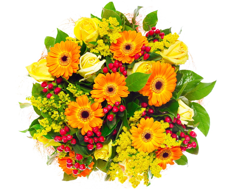love, yellow, summer, roses, green Color, multi Colored, plant, wedding, freshness, studio shot, white, flower arrangement, flower Head, red, valentines Day - Holiday