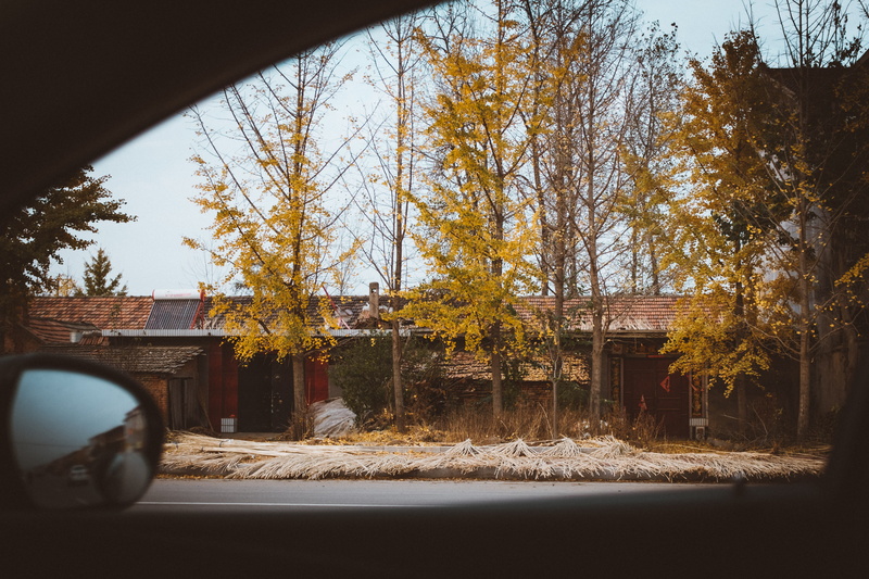 building exterior, reflection, shelter, winter, china, road, sky, mirror, view, beside, motor vehicle, car, building, plant, house, nature, mode of transportation