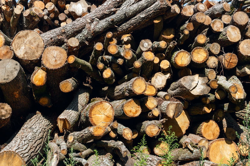 fuel and power generation, suholom, a bunch of, brown, outdoors, 5K, fossil fuel, deforestation, woodland, lumber, circle, no people, chopped, drome, stack
