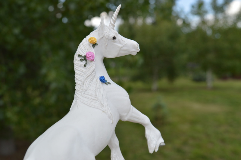 no people, day, photo, animal wildlife, Unicorn, outdoors, herbivorous, animal themes, pets, focus on foreground, horn animal, white color, one animal
