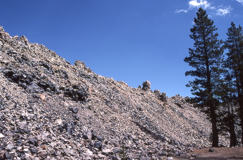 tree, nature, landscape, scenics - nature, beauty in nature, pine tree, plant, low angle view, glass mountain, land, california, solid, environment, mountain