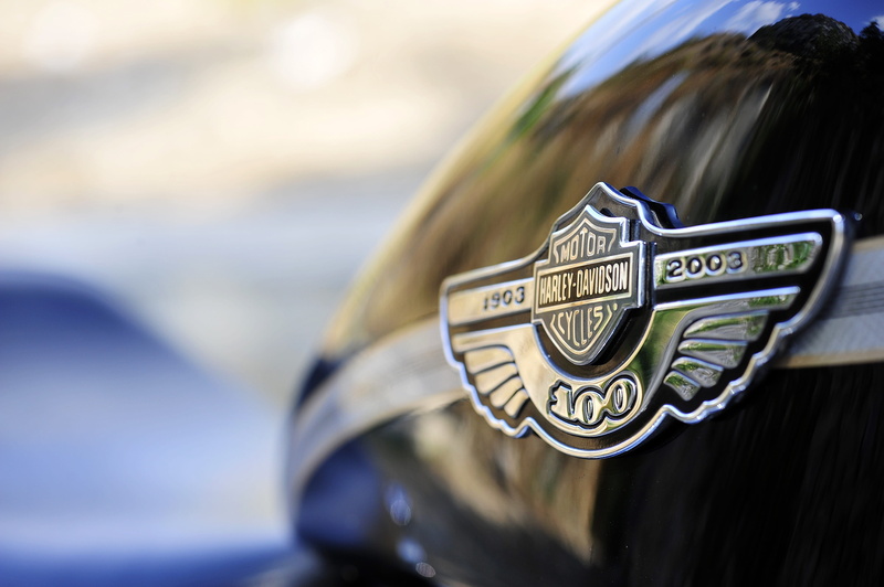 motorcycles, custom, logo, metal, nature, 1200, sportster, animal wildlife, water, bikers, close-up, moto, gold colored, harley davidson, communication