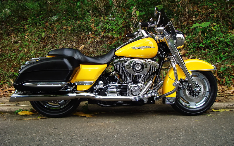 davidson, Road King, road, harley, Harley Davidson Road King, 2K, yellow, king