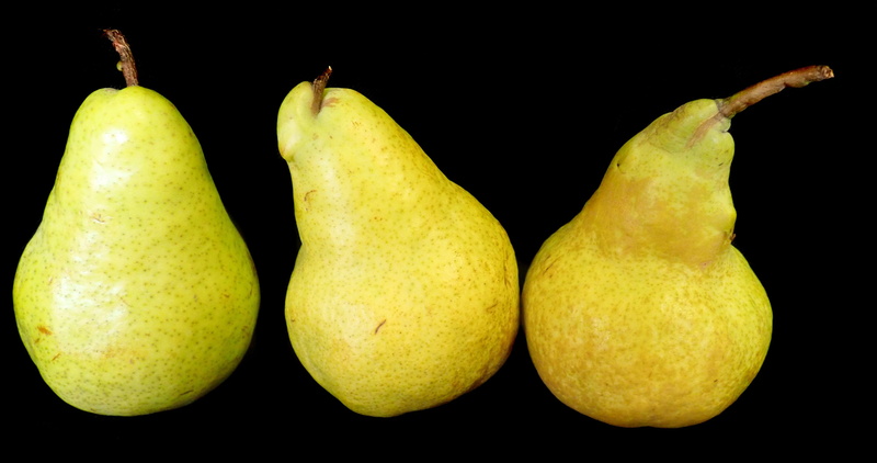 food and drink, sweet, ripe, three objects, no people, pears, organic, 4K, food, wellbeing, freshness, delicious, green color, group of objects, side by side