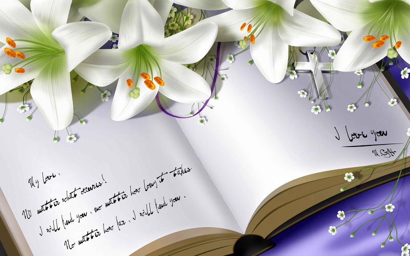 book, hD, quotes, love, 5K