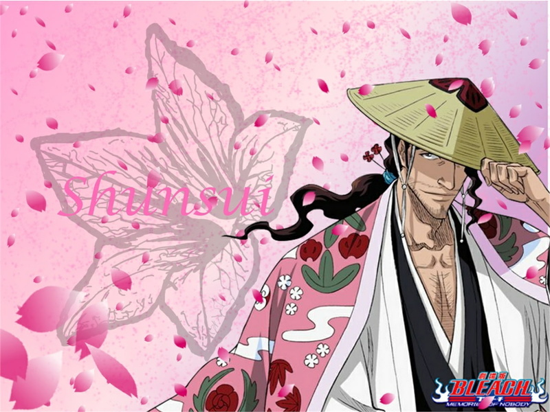 720P, Shunsui Kyōraku, Bleach