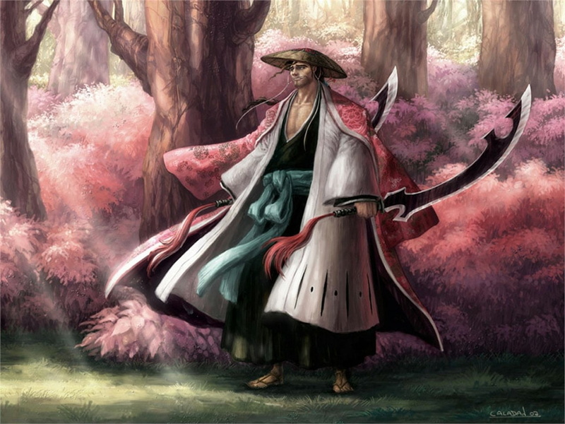 720P, Bleach, Shunsui Kyōraku