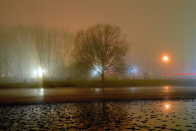 water, silhouette, mist, night, frozen, pond, river, tree, sky, fog, near, nature, weather, foggy, colorful, mood, reflection, street light, shadow, city