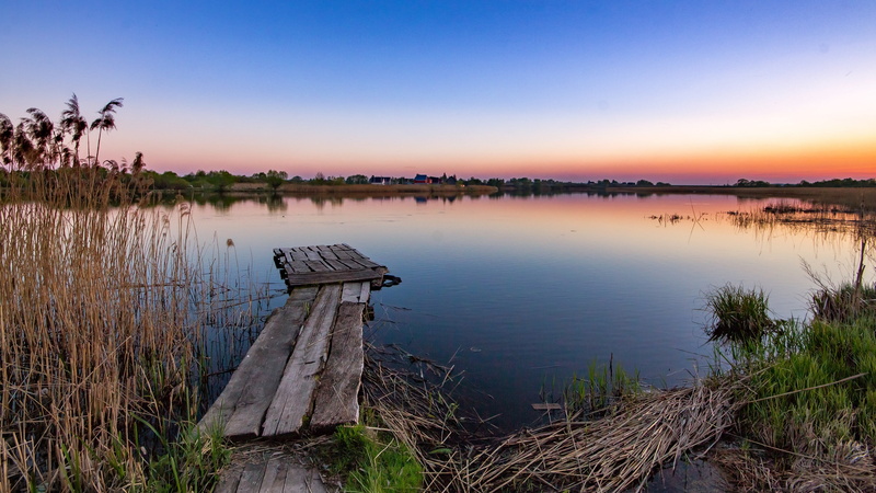 reflection, pronsk, landscape, shore, bog, pronya river, wilderness, 4K, horizon, sky, river, wetland, russia, grass, ryazan, reed, tree, pier, bank, water