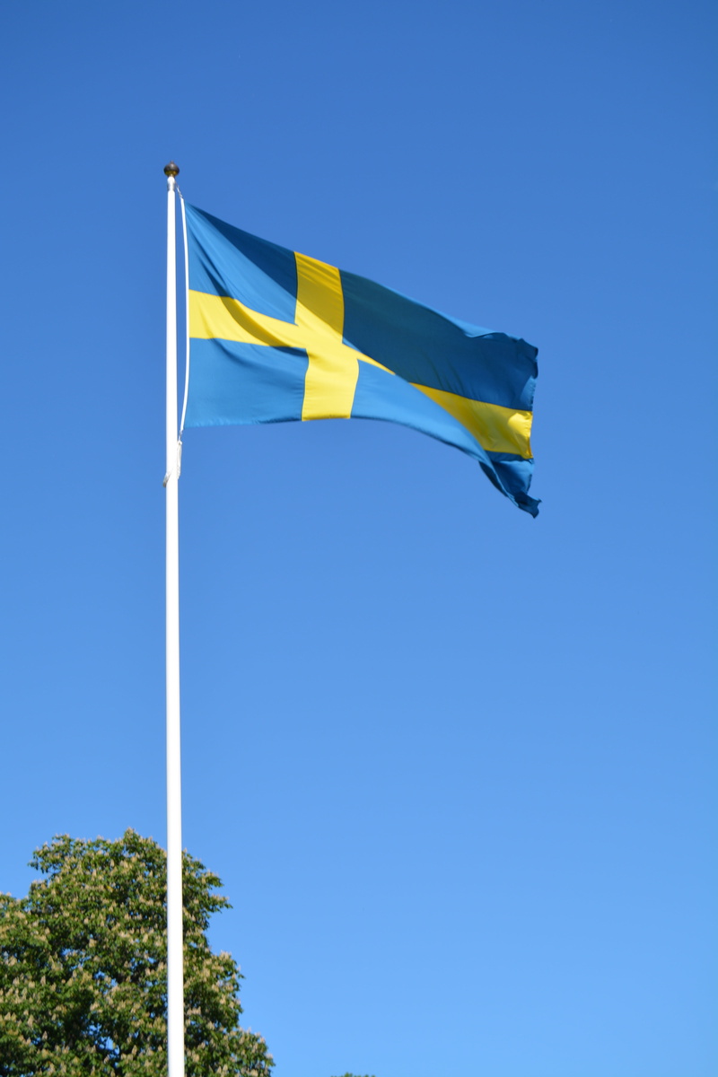 yellow, sweden, blue, low angle view, outdoors, independence, pride, clear sky, wind, sky, flag, patriotism, environment, waving, 5K, tree, swedish, nature