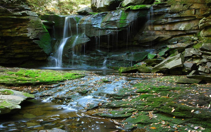land, solid, rock formation, motion, 1080P, blurred motion, waterfalls, moss, forest, rock, flowing water, outdoors, tree, plant, beauty in nature, waterfall