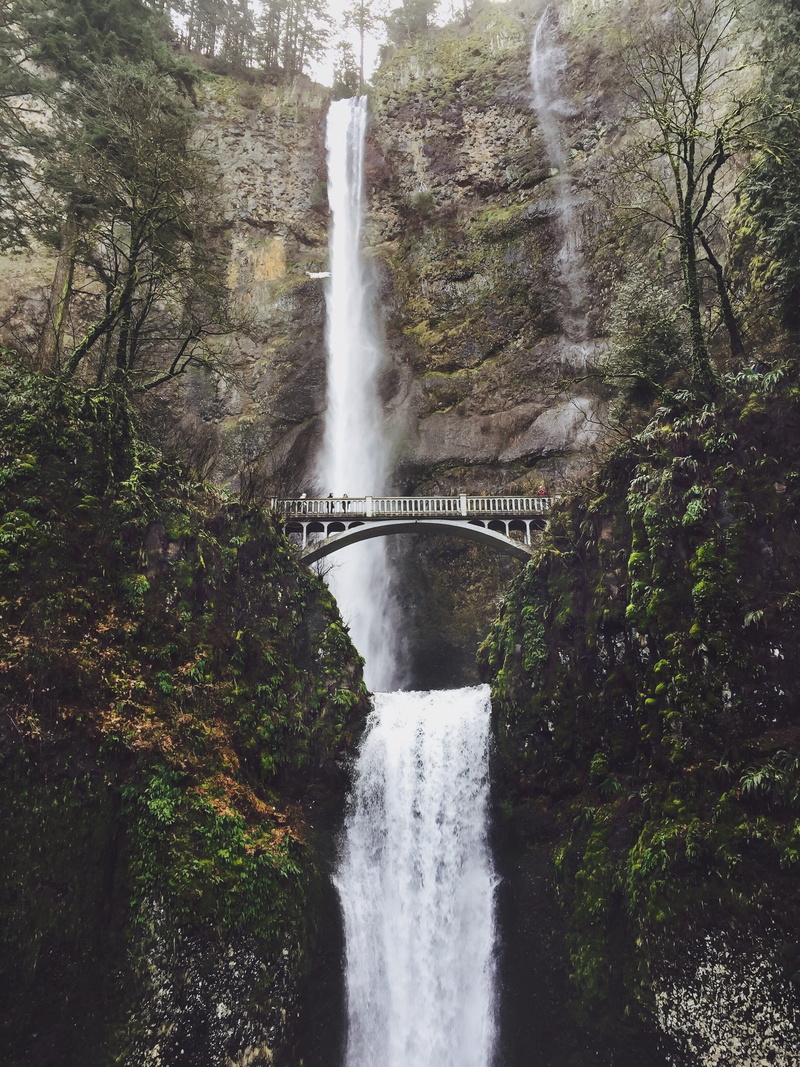 misty, multnomah, flowing, no people, scenics - nature, built structure, beauty in nature, pnw, nature, power in nature, motion, fog, arch, plant, arched