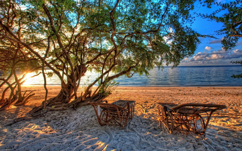tranquility, bench, plant, day, land, tree, nature, outdoors, brown, horizon over water, tranquil scene, framed, seat, absence, table, beach, coast, no people