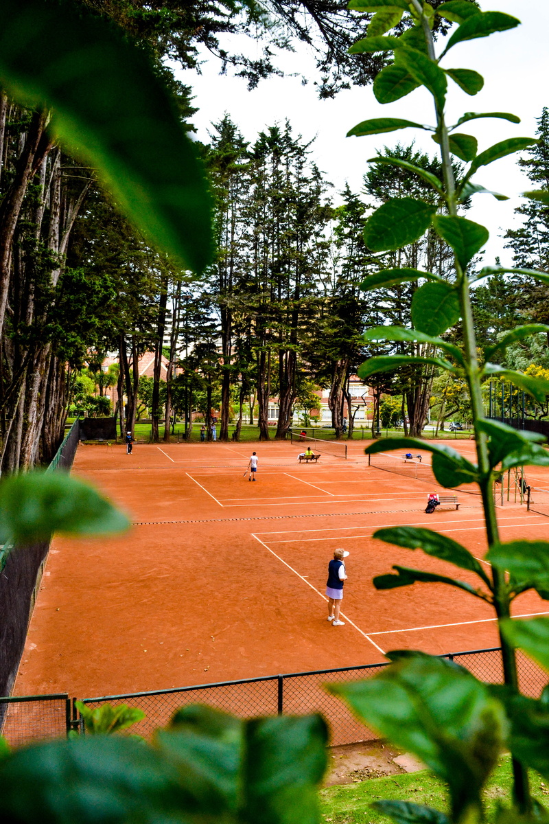 tennis court, incidental people, looking through foliage, real people, tennis courts, group, court, shadow, athlete, growth, people, leisure activity, nature