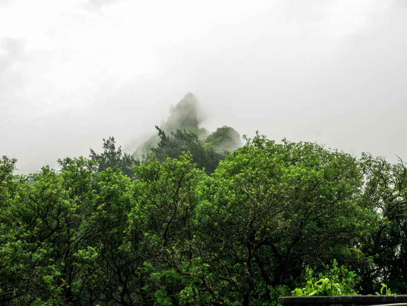 environment, scenics - nature, non-urban scene, honolulu, beauty in nature, no people, fog, sky, growth, green color, day, mountain peak, nature, united states