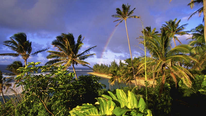 kauai, hawaii, beaches, 1080P, parks