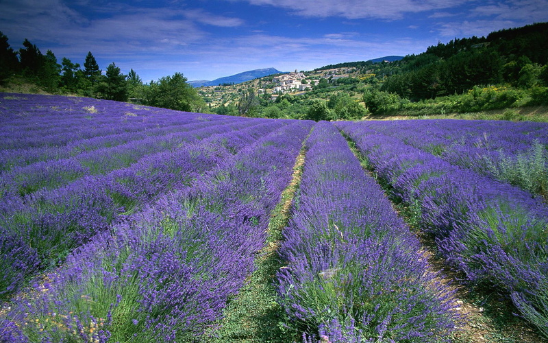 1080P, france, 3d and abstract, windows7theme, fields