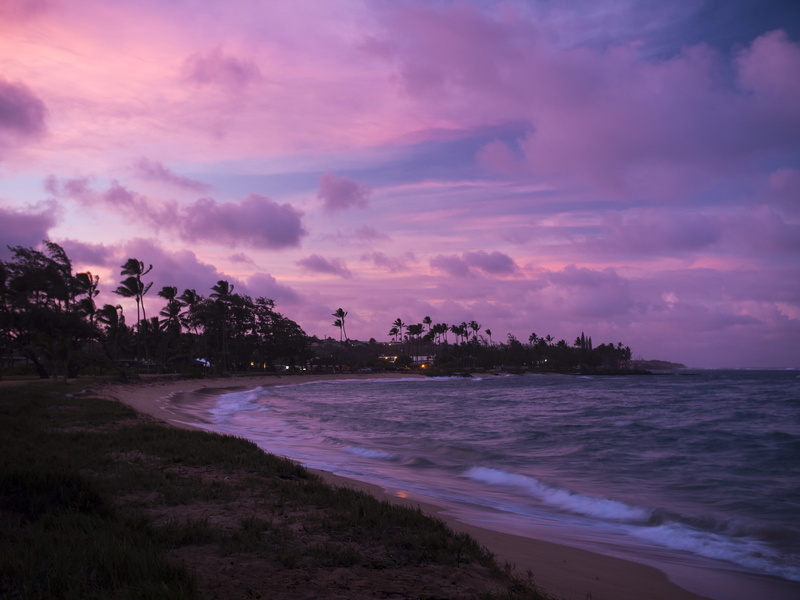 kauai, wave, pono kai resort, golden hour, ocean, hawaii, palm trees, plant, nature, cloud - sky, dusk, water, purple, tranquility, kapaa, united states