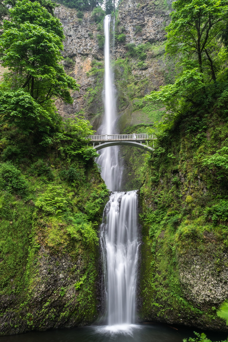 environment, waterfall, tree, beauty in nature, falling water, plant, outdoors, no people, rainforest, long exposure, scenics - nature, green, 5K, blurred motion