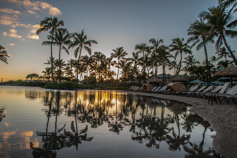 waterfront, scenics - nature, reflection, nature, sunset, growth, sky, water, tropical climate, tree, lihue, outdoors, coconut palm tree, kauai beach drive