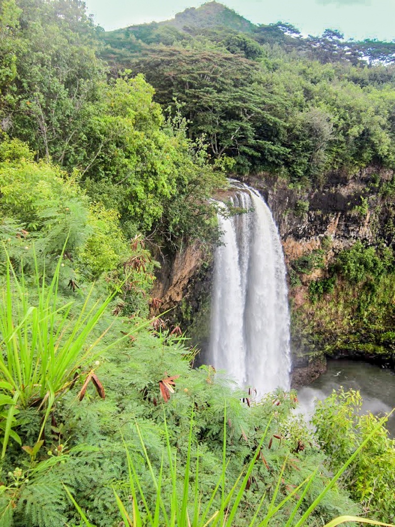growth, scenery, water, beautiful, jurassic waterfall, landscape, land, waterfalls, nature, power in nature, beauty in nature, mountains, environment, waterfall