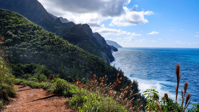 landscape, Hawaii, trees, forest, 1080P, horizon, nature, grass, water, clouds, dirt road, Kauai, plants, sky