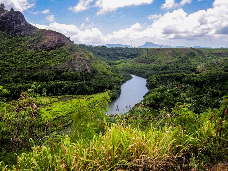 tranquil scene, river, non-urban scene, no people, hawaii, green, hiking trail, scenics - nature, plant, water, lagoon, tree, green color, landscape, beauty in nature