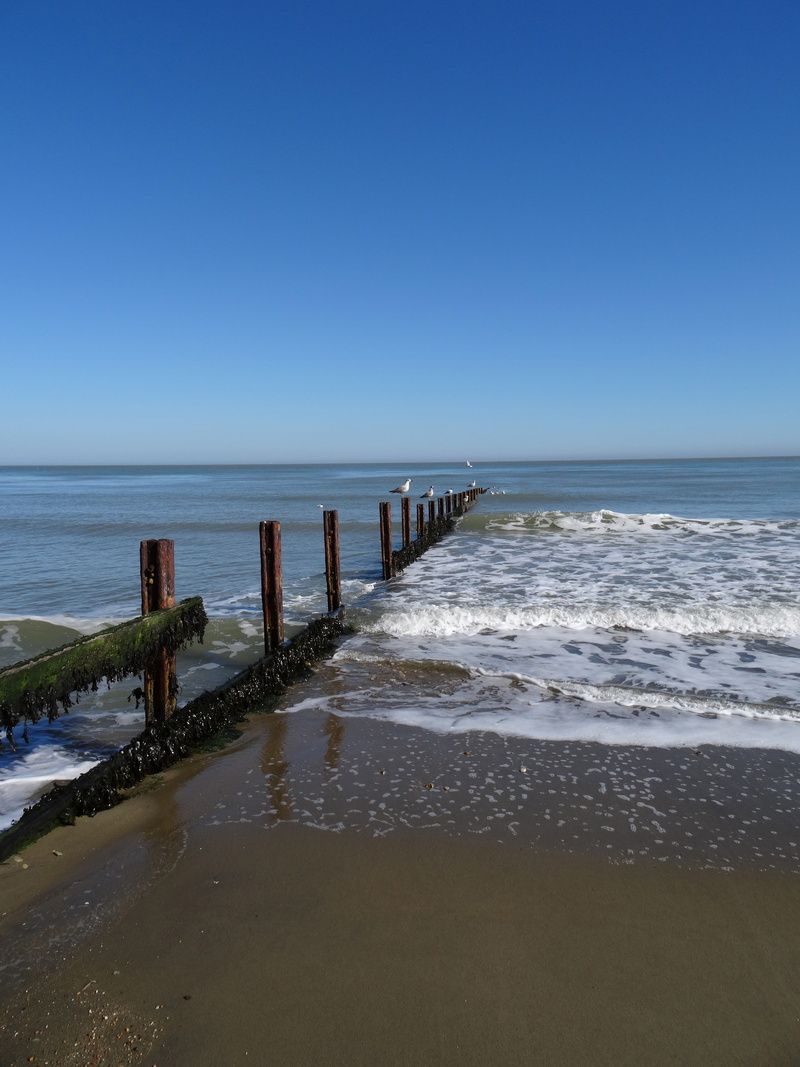 Beach, groyne, copy space, waves, Isle Of Wight, land, water, shanklin beach, horizon over water, 5K, scenics - nature, motion, sand, beauty in nature