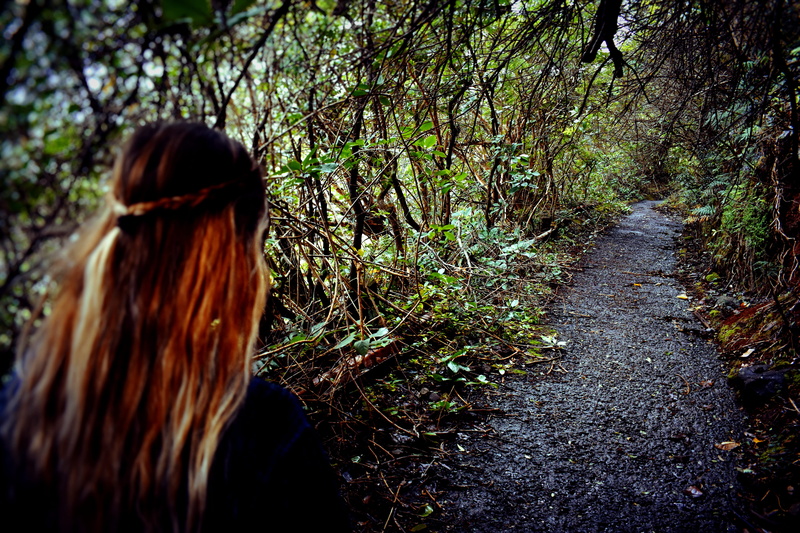 woods, honolulu, women, adventure, 5K, brown hair, nu‘uanu pali, hike, leisure activity, tree, real people, united states, trees, path, outdoor, growth