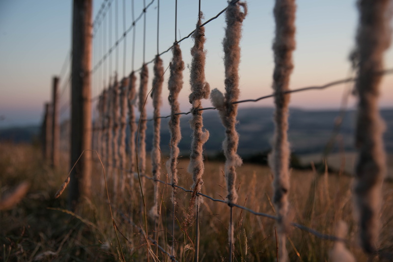 grass, protection, lawn, field, photography, day, safety, boundary, ranch, brown, no people, railing, 5K, grey, focus on foreground, sunlight, wood, close-up