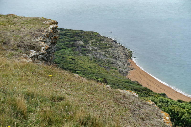 plant, growth, sea, no people, isle of wight, shore, tranquil scene, united kingdom, idyllic, tranquility, high angle view, grass, scenics - nature, green color