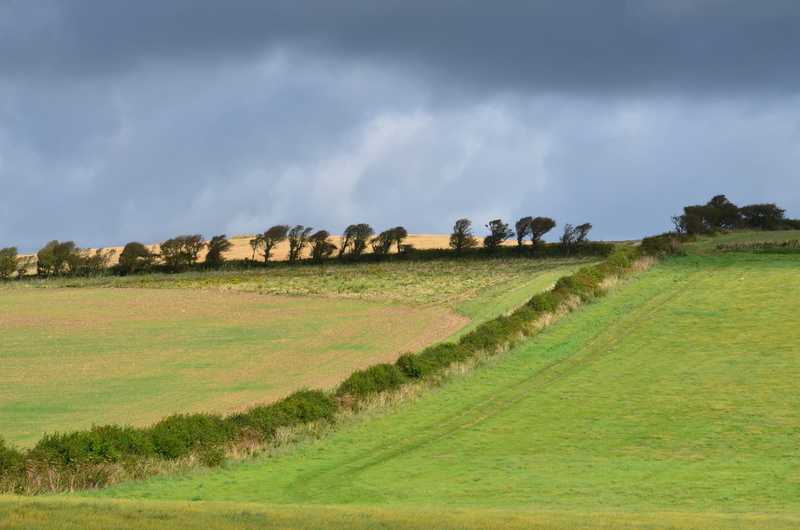 Holiday, outdoors, clouds, landscape, beauty in nature, nature, day, agriculture, farmland, cloud - sky, Isle Of Wight, Fields, plant, scenics - nature
