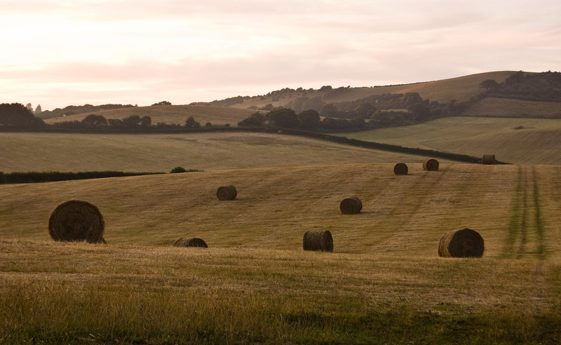 agriculture, wight, no people, scenics - nature, grass, field, bale, land, hay, plant, Bales, environment, rural scene, farm, rolling landscape, hays, Landscape