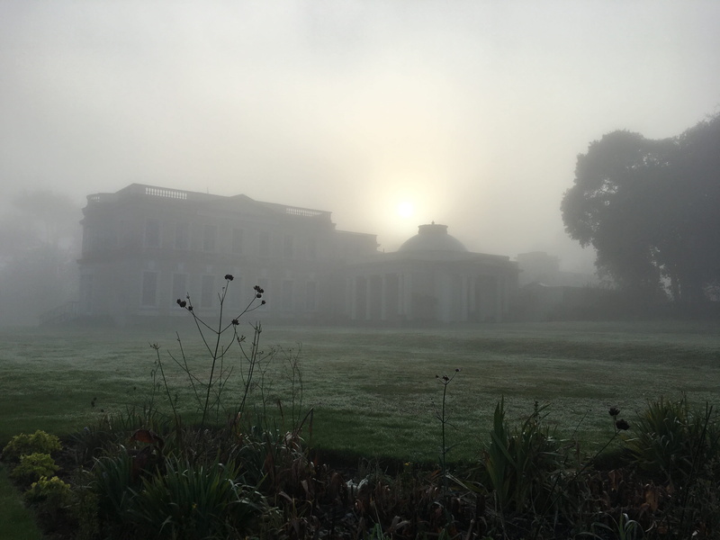 fog, united kingdom, tree, outdoors, environment, land, architecture, isle of wight, sky, the past, building, built structure, no people, field, 4K, nature
