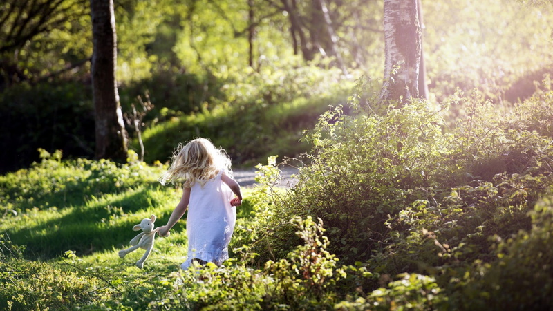 one person, hairstyle, land, children, outdoors, rear view, nature, green color, real people, blonde, hair, s, tree, girl, women, garden, day, trunk, dress