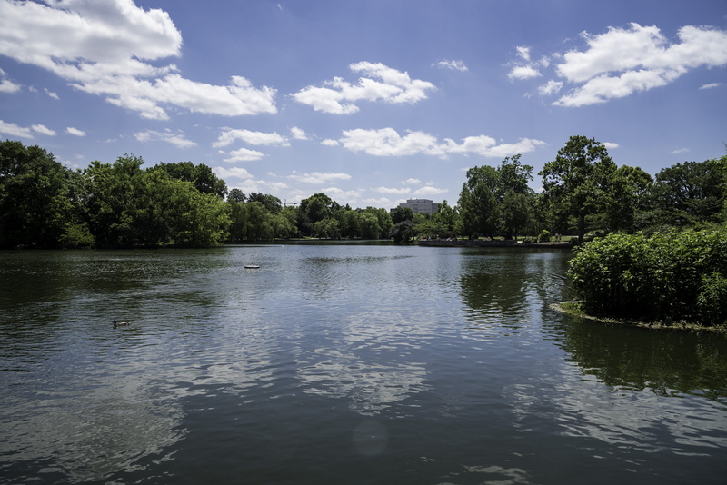 scenics, Bicentennial Park, tranquility, Nashville, Lake, river, no people, Summer, 5K, tree, growth, water, park, trees, Tennessee, day, reflection, beauty in nature