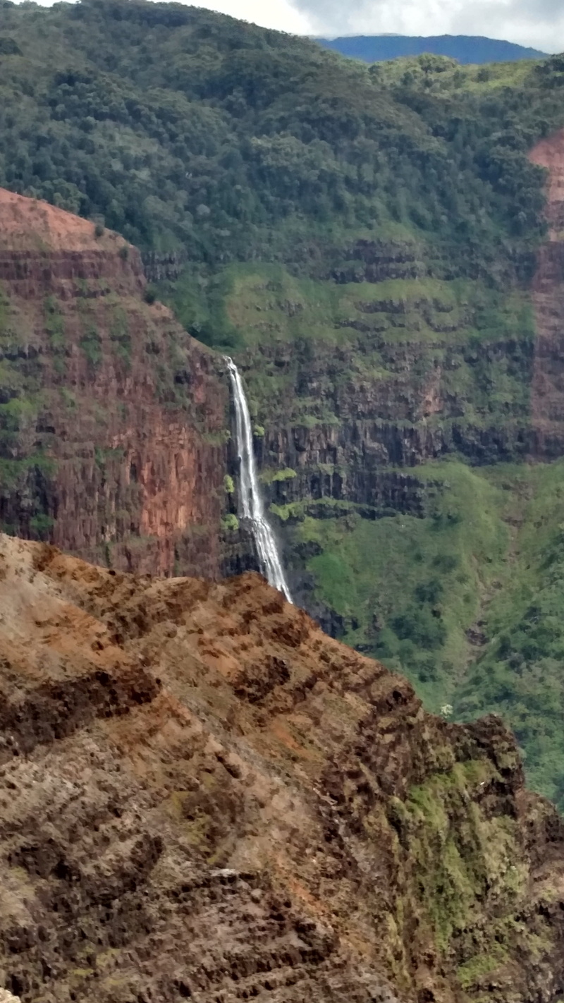 forest, travel destinations, hawaii, rock - Object, environment, nature, tree, landscape, mountain, kokee, no people, Kauai, cliff, plant, rock, day, waterfall