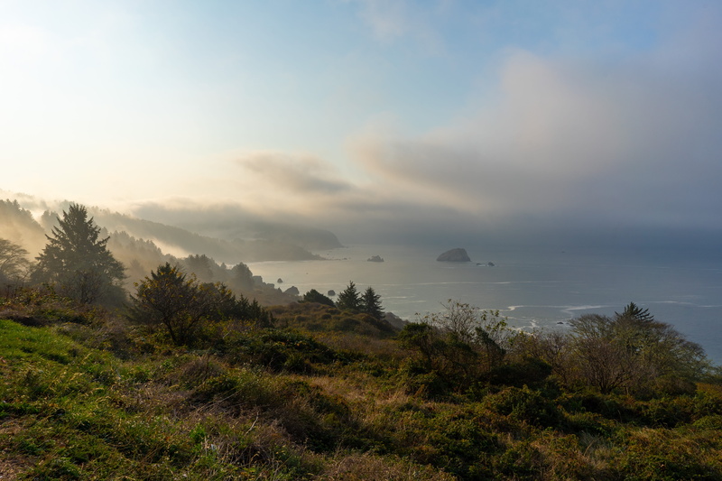 tranquility, non-urban scene, environment, cliffs, no people, pnw, tranquil scene, pacific northwest, forest, sea, clouds, 5K, tree, idyllic, rocks, northern california