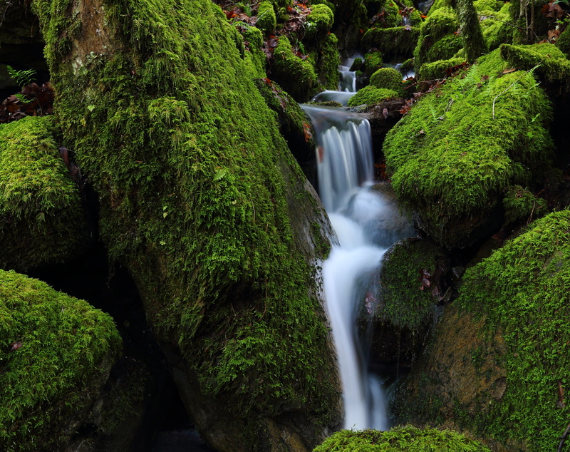 Moss, sonomacounty, 2K, circularpolarizingfilter, polarizing, unitedstates, Waterfall, Park, Mark, annadel, sonoma, circular, Drought, 5dmarkiii, County