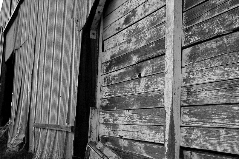 ranch, sonomacounty, full frame, sonoma, 4K, close-up, farm, safety, barn, door, entrance, outdoors, building exterior, security, architecture, backgrounds