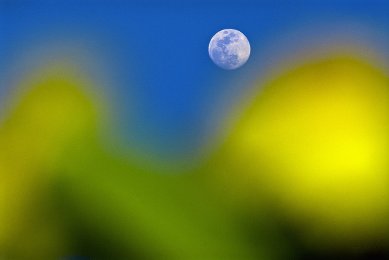 full moon, beauty in nature, sky, desenfoque selectivo, scenics - nature, 4K, pinas, moon, astrology, blue, flores, exploration, orbiting, ecuador, no people