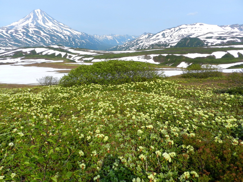 mountain peak, cold temperature, environment, the foot, nature, land, mountain range, snowcapped mountain, snow, mountain, peninsula, scenics - nature