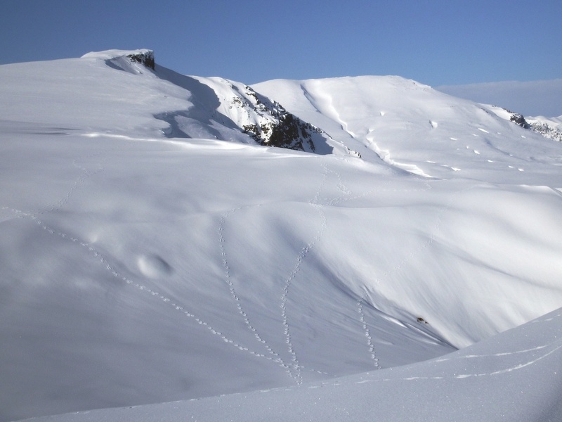 ski track, sky, mountain, nature, 1080P, peninsula, tranquility, winter, snow, white color, day, tranquil scene, environment, travel, mountains, non-urban scene