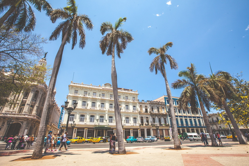 blue sky, sky, tree, trip, the past, plant, travel destinations, building exterior, palmtrees, travel, city life, cuba, sunny, tourism, tropical climate
