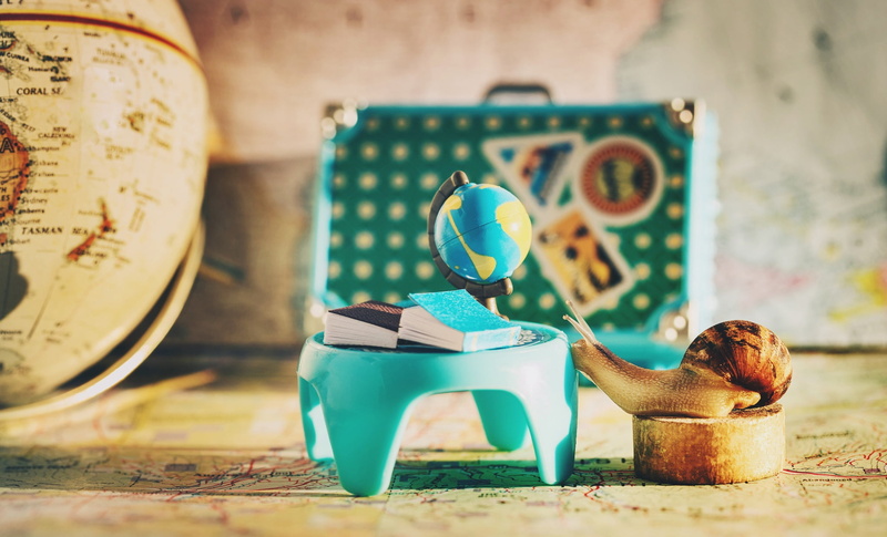 student, traveler, background, school, the room, geography, study, map, route, table, class, macro, the study, suitcase, geographic, snail, books, 1080P